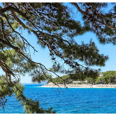 Fenc Примоштен