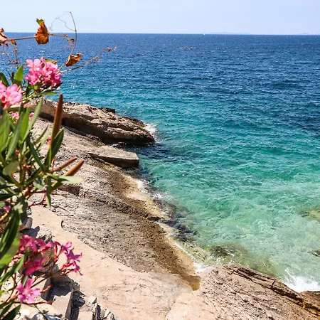 Fenc * Примоштен